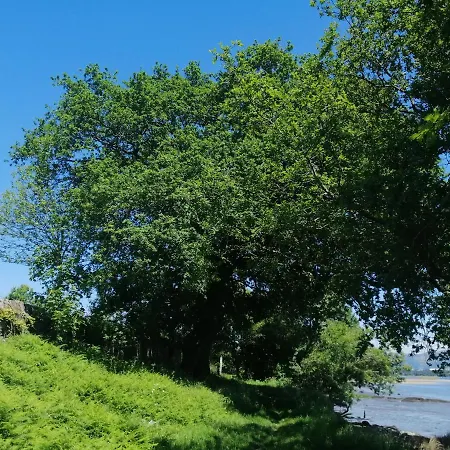 Affittacamere Royalheronhouse Viana do Castelo