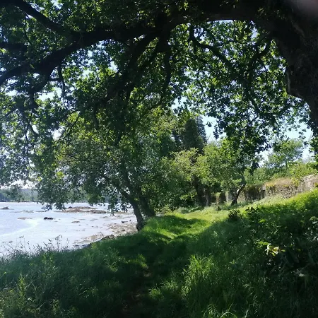 Royalheronhouse Pensjonat Viana do Castelo