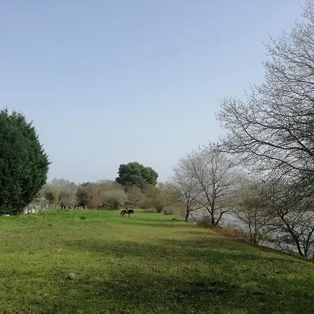 Affittacamere Royal Heron House B&B 4*