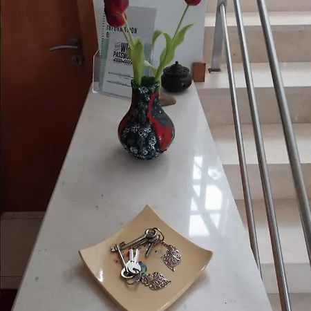 Royal Heron House B&B Viana do Castelo