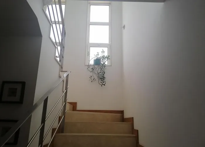 Guest house Royalheronhouse Viana do Castelo