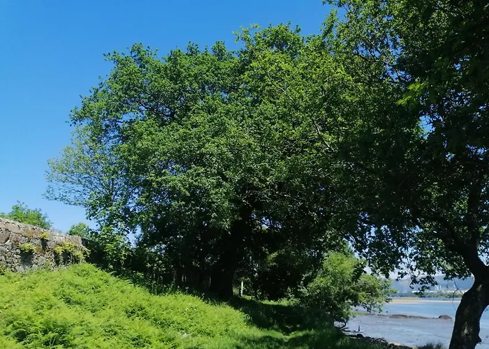 Guest house Royalheronhouse Viana do Castelo