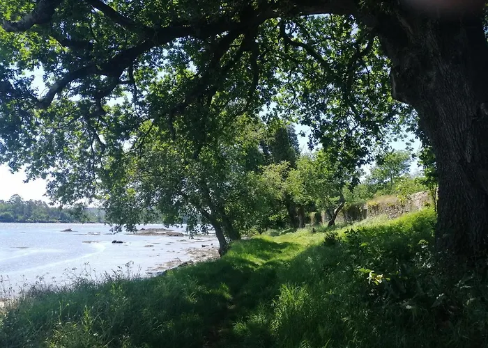 Royalheronhouse Pensjonat Viana do Castelo