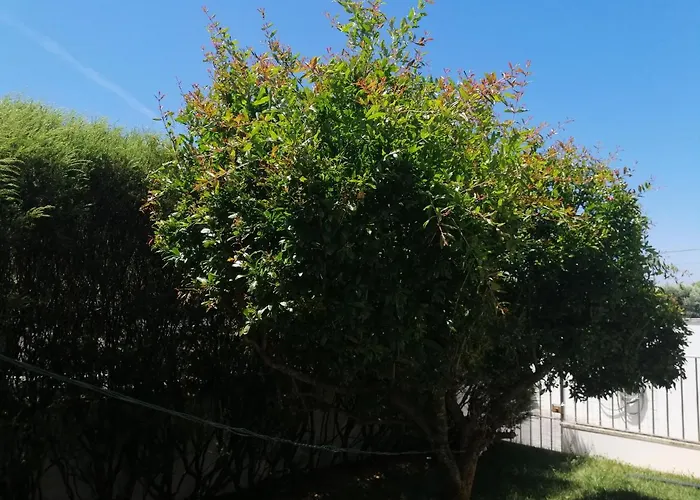 Royalheronhouse Πανσιόν 4*